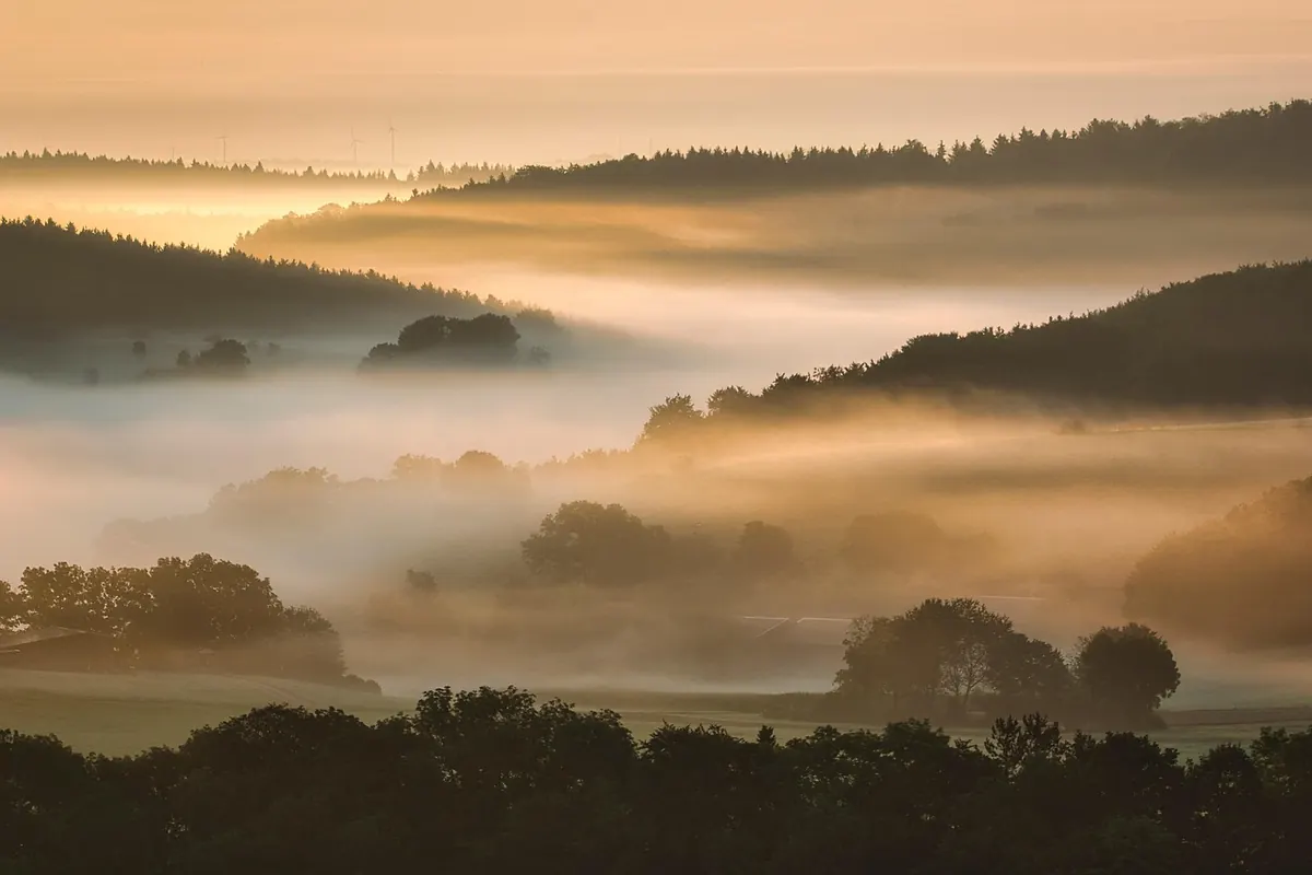 Fog Photography Explained: Why Mist Softens Light and How to Use It