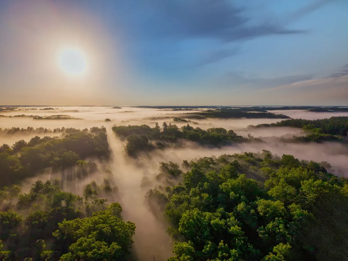 How to Photograph Woodland Fog at Sunrise: A Beginner's Guide