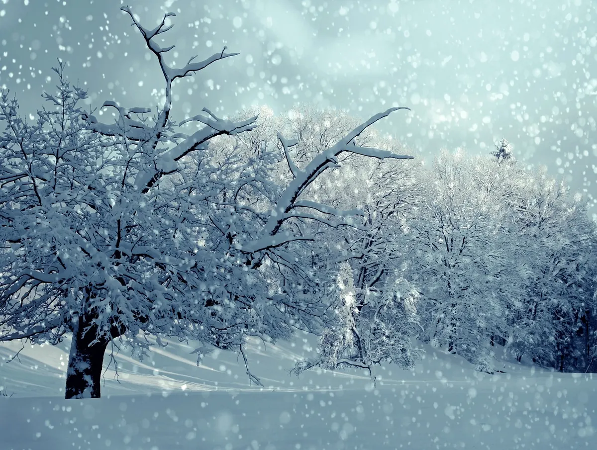 Winter Landscape Photography: Managing Frost, Snow and Low Light